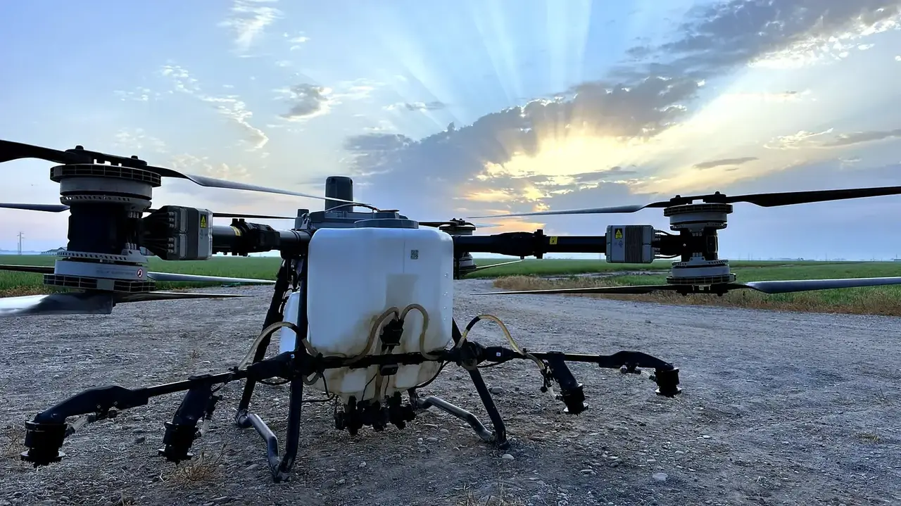 Fumigación con drones en Cádiz
