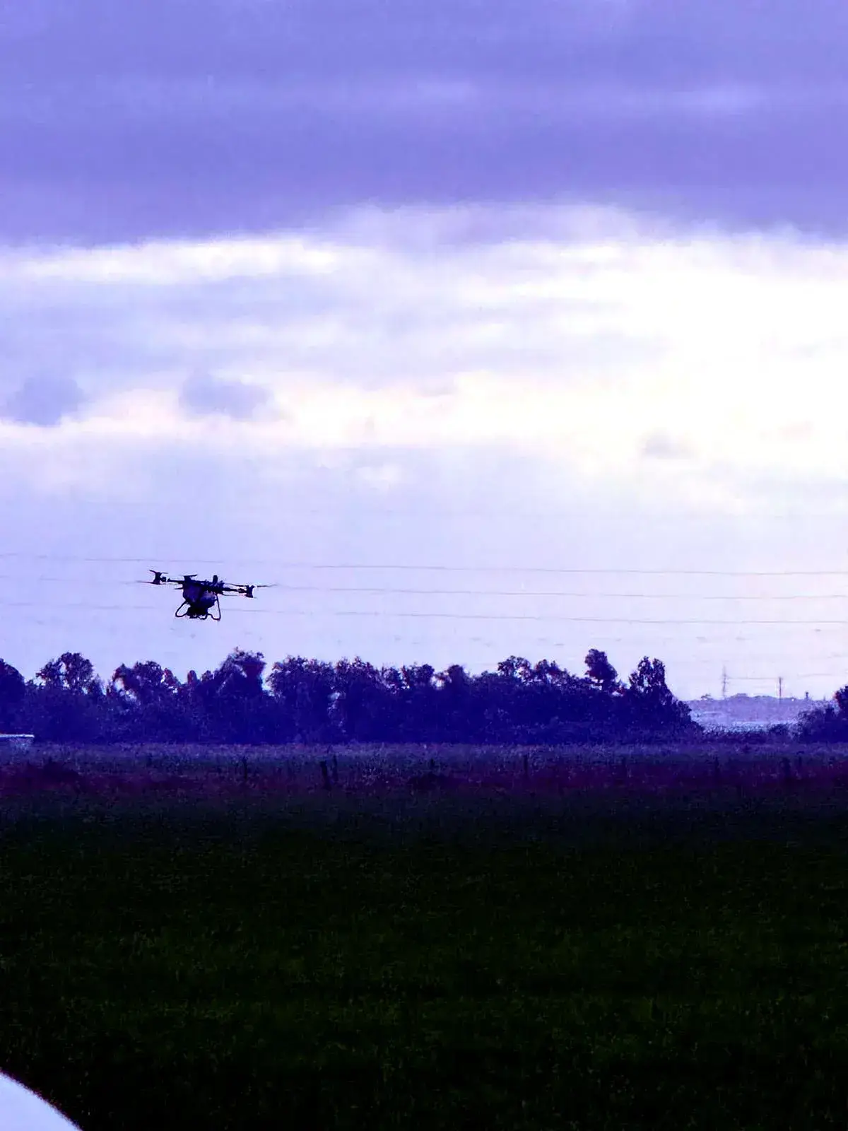 Dron agrícola fumigando un arrozal