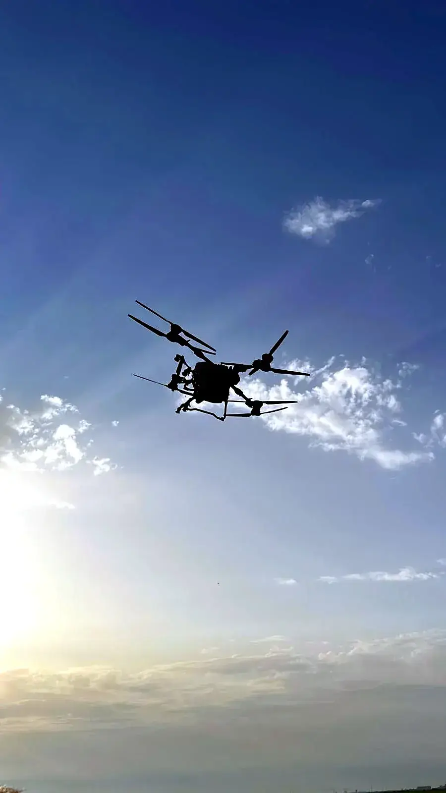 Aplicación aérea de tratamiento fitosanitario con dron sobre un cultivo