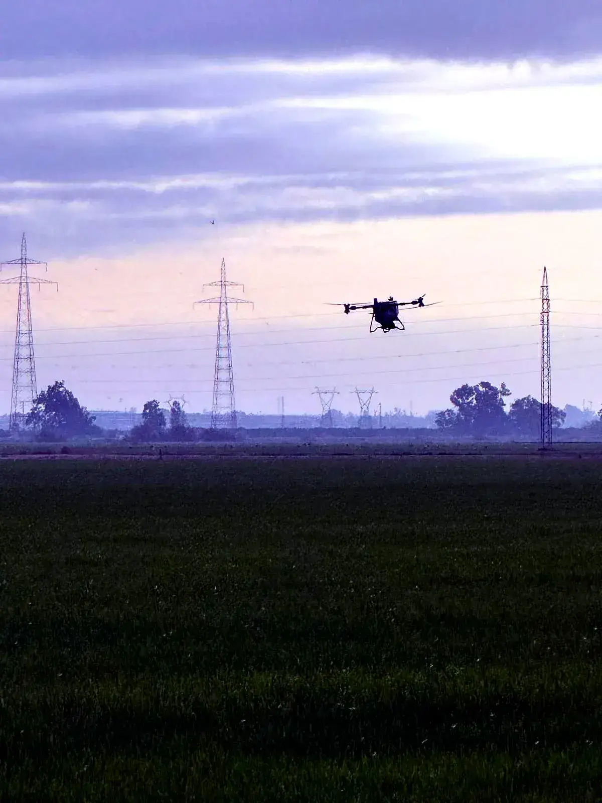 Tratamientos fitosanitarios con drones en Cádiz