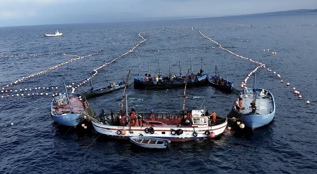 Pesca y control maritimo el impacto de los drones en las costas de cadiz